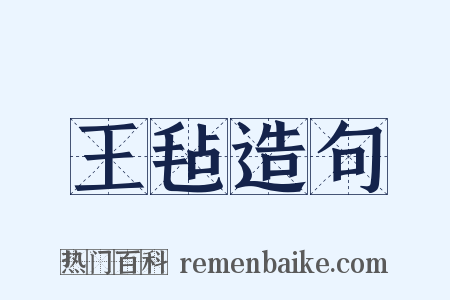 王毡造句是什么意思的图片